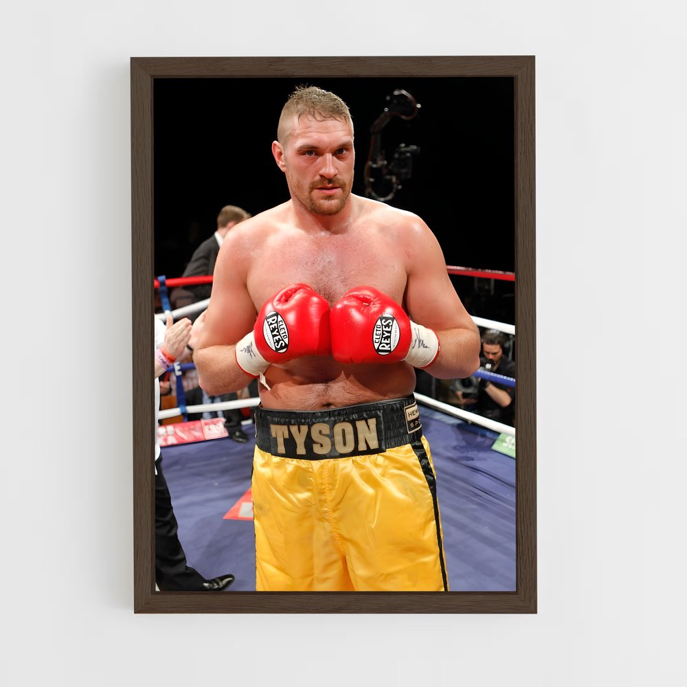 Poster Tyson de fury (vue 5)